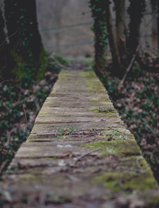 Chemin randonnée