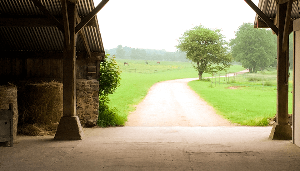 En course_chemin