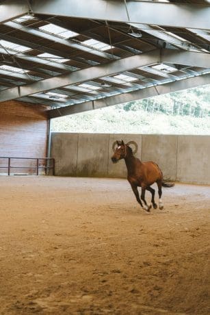 LE BARN
