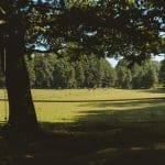 LE BARN