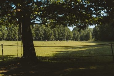 LE BARN